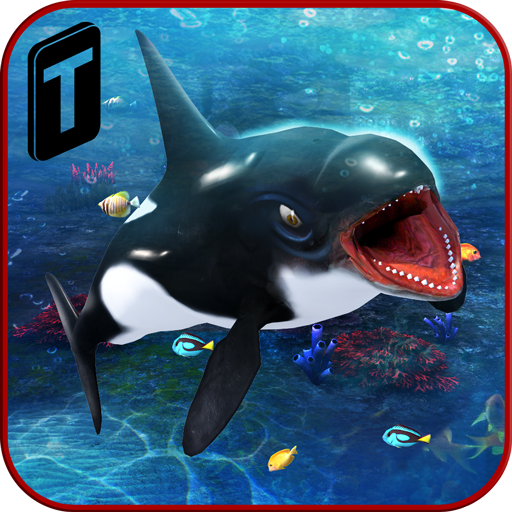 Detail Killer Whale 3d Google Nomer 5