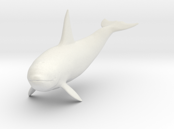 Detail Killer Whale 3d Google Nomer 49