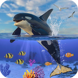 Detail Killer Whale 3d Google Nomer 54