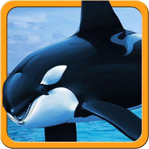 Detail Killer Whale 3d Google Nomer 8
