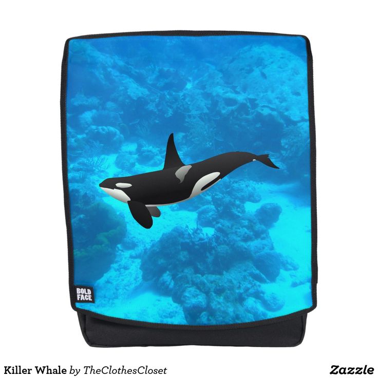 Detail Killer Whale Backpack Nomer 52