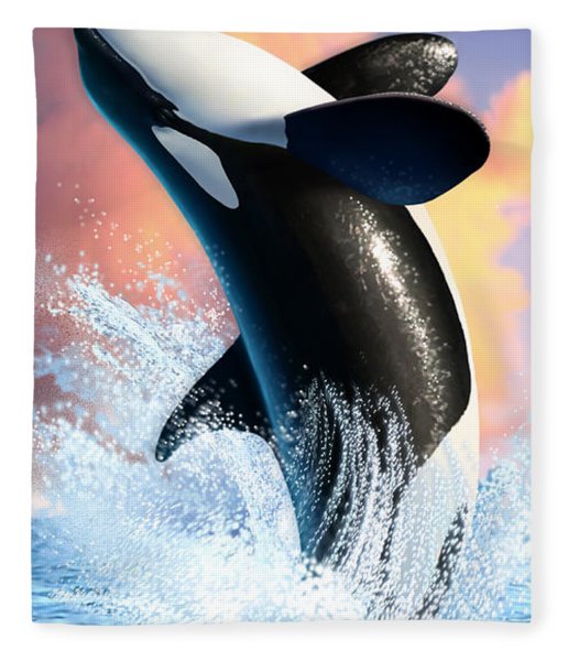 Detail Killer Whale Blanket Nomer 22