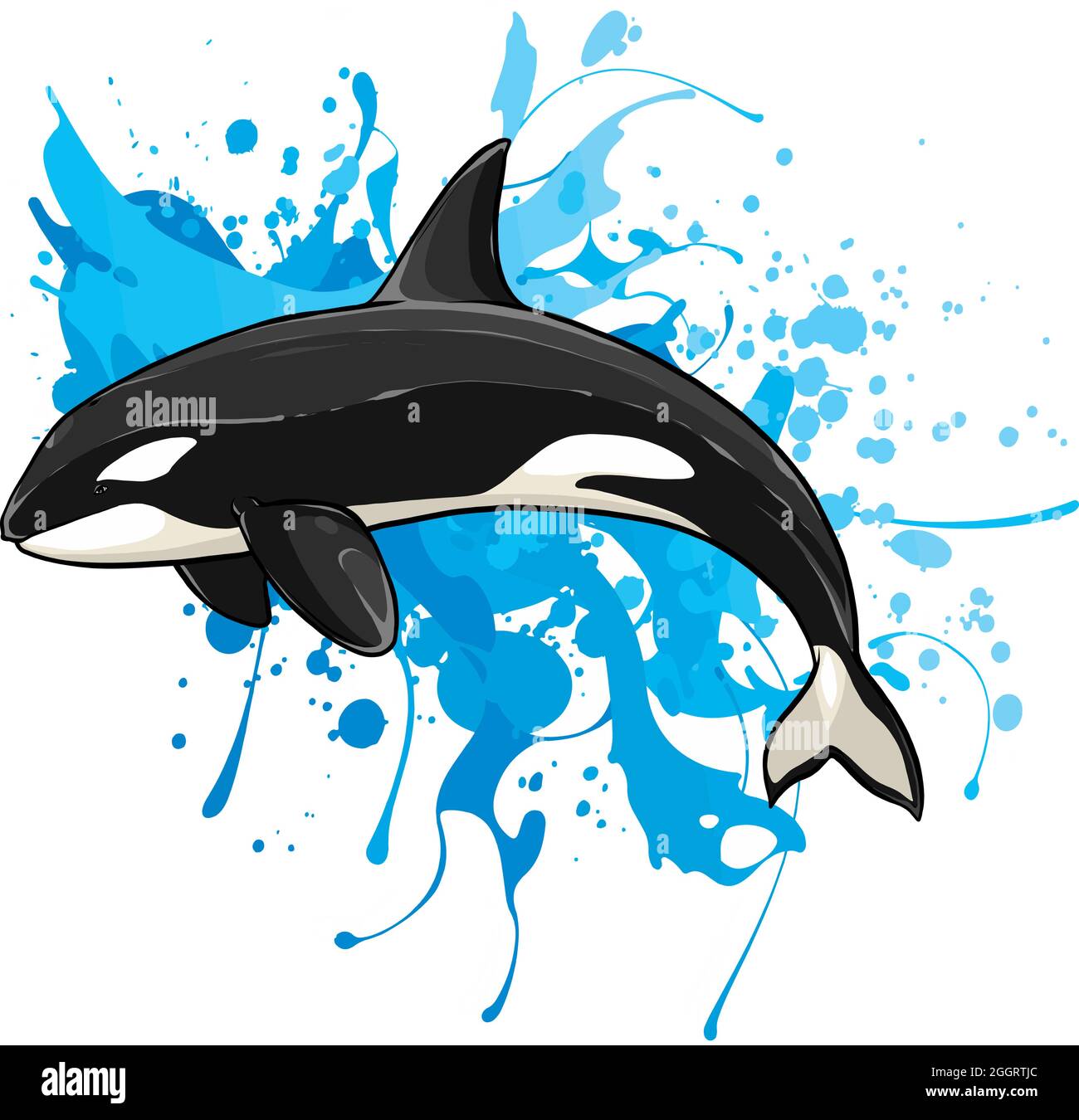 Detail Killer Whale Illustrations Nomer 19