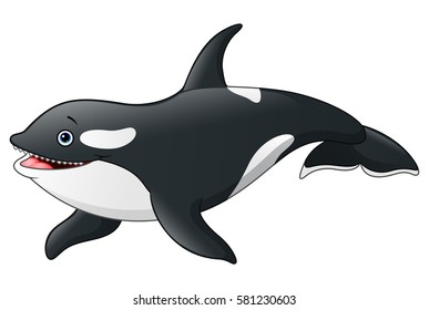 Detail Killer Whale Illustrations Nomer 20