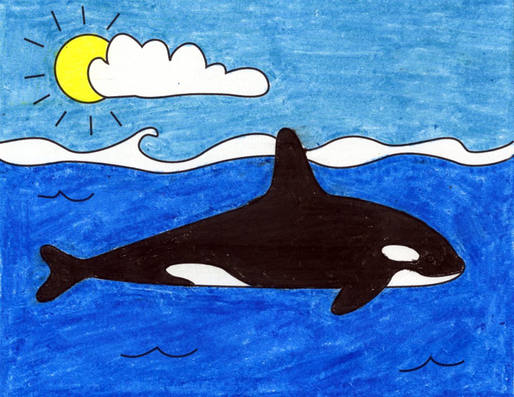 Detail Killer Whale Illustrations Nomer 3