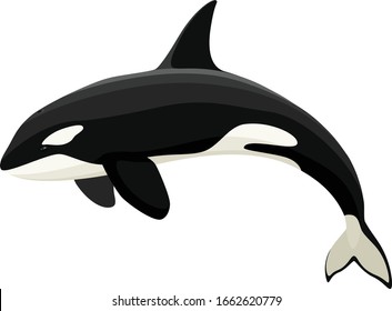 Detail Killer Whale Illustrations Nomer 21