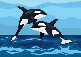 Detail Killer Whale Illustrations Nomer 23