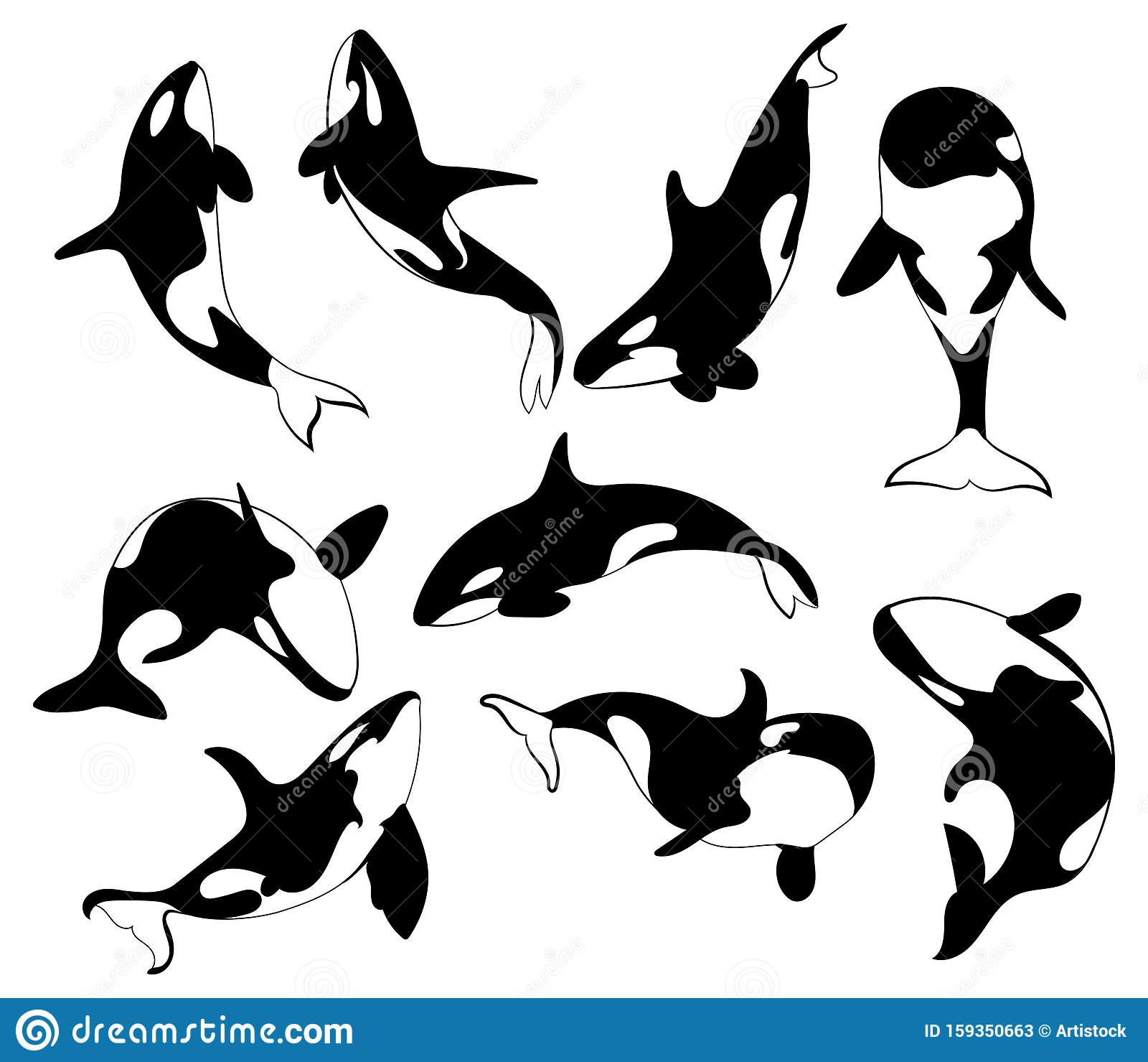 Detail Killer Whale Illustrations Nomer 24