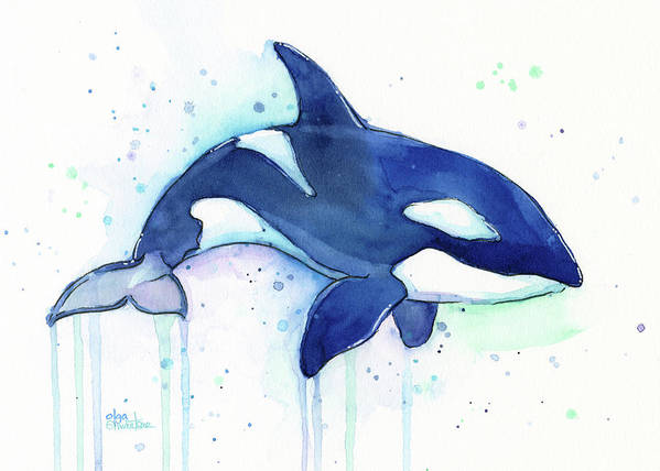 Detail Killer Whale Illustrations Nomer 25