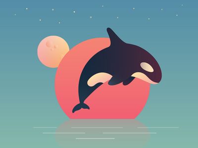 Detail Killer Whale Illustrations Nomer 29