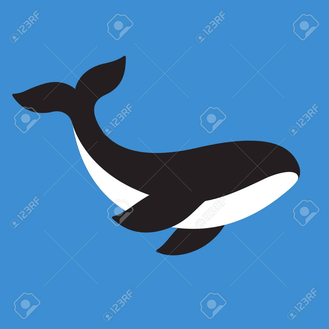Detail Killer Whale Illustrations Nomer 34