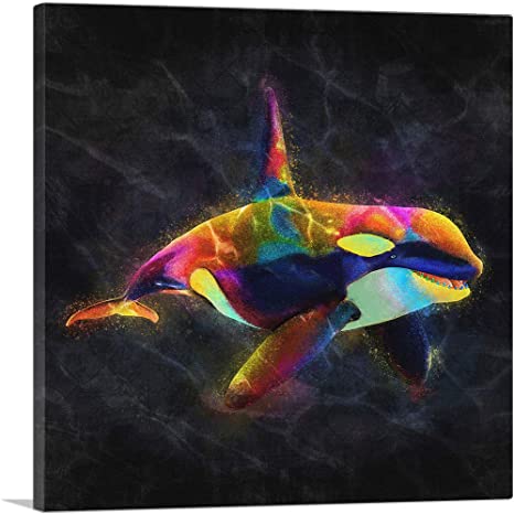 Detail Killer Whale Illustrations Nomer 35