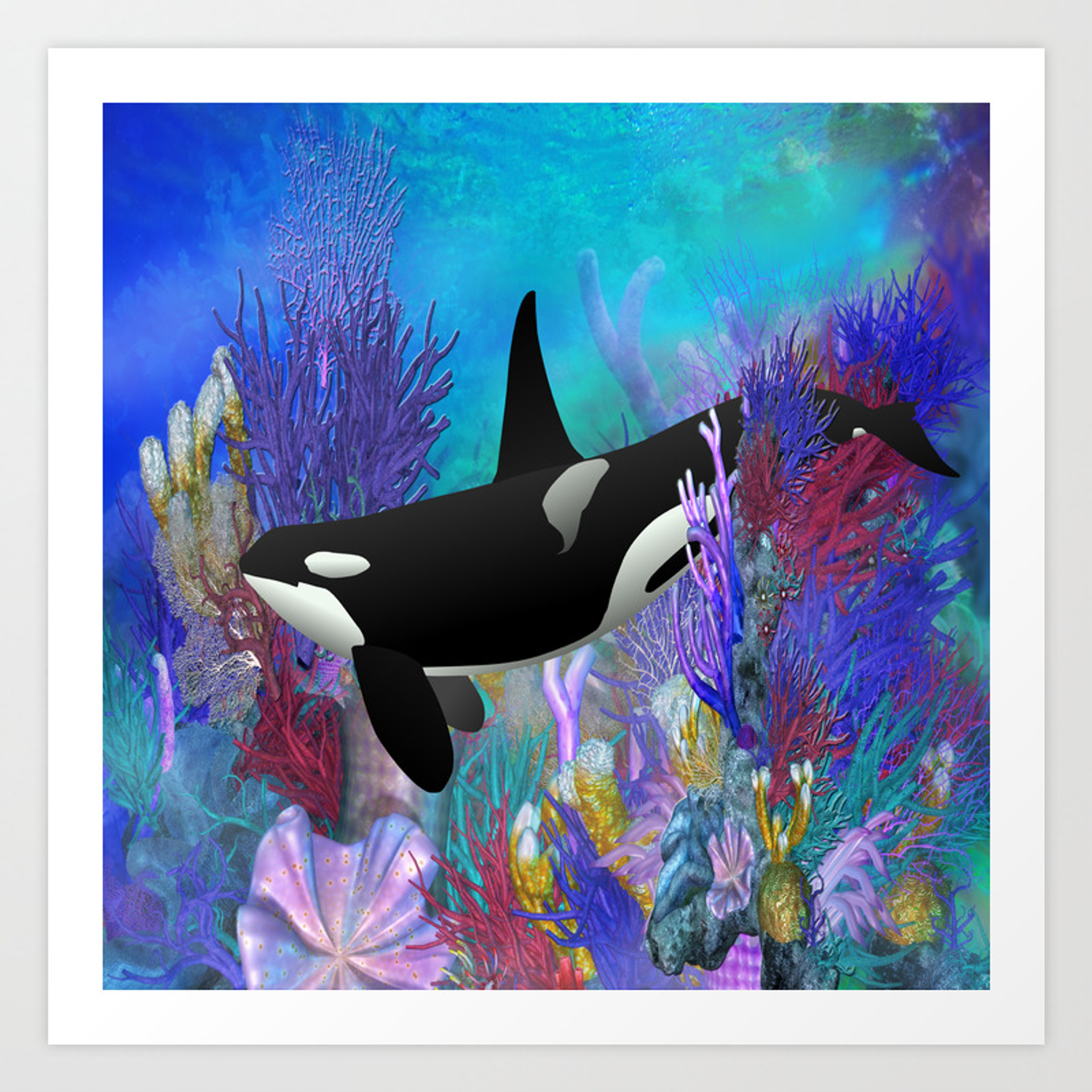 Detail Killer Whale Illustrations Nomer 38