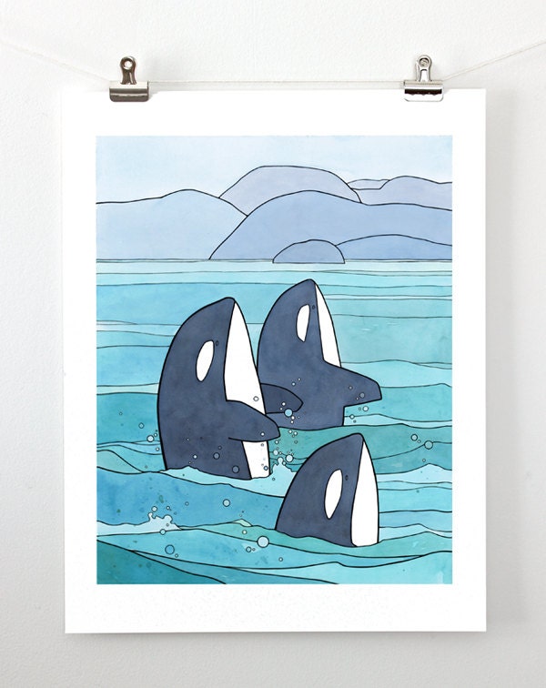 Detail Killer Whale Illustrations Nomer 40