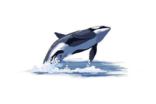 Detail Killer Whale Illustrations Nomer 41