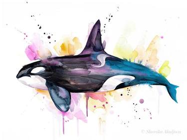 Detail Killer Whale Illustrations Nomer 44