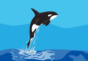 Detail Killer Whale Illustrations Nomer 49