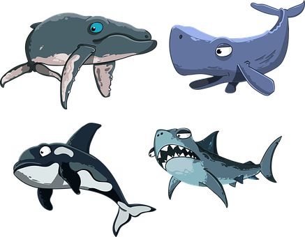 Detail Killer Whale Illustrations Nomer 55