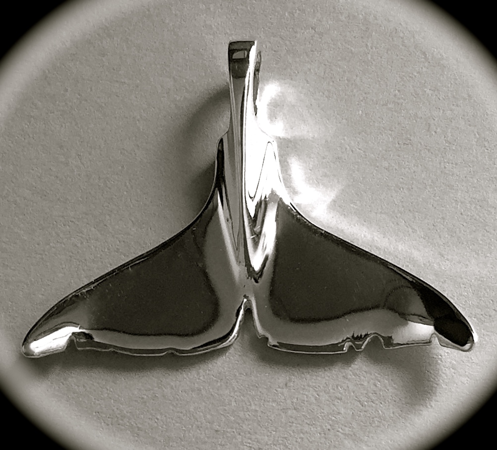 Detail Killer Whale Jewelry Nomer 37