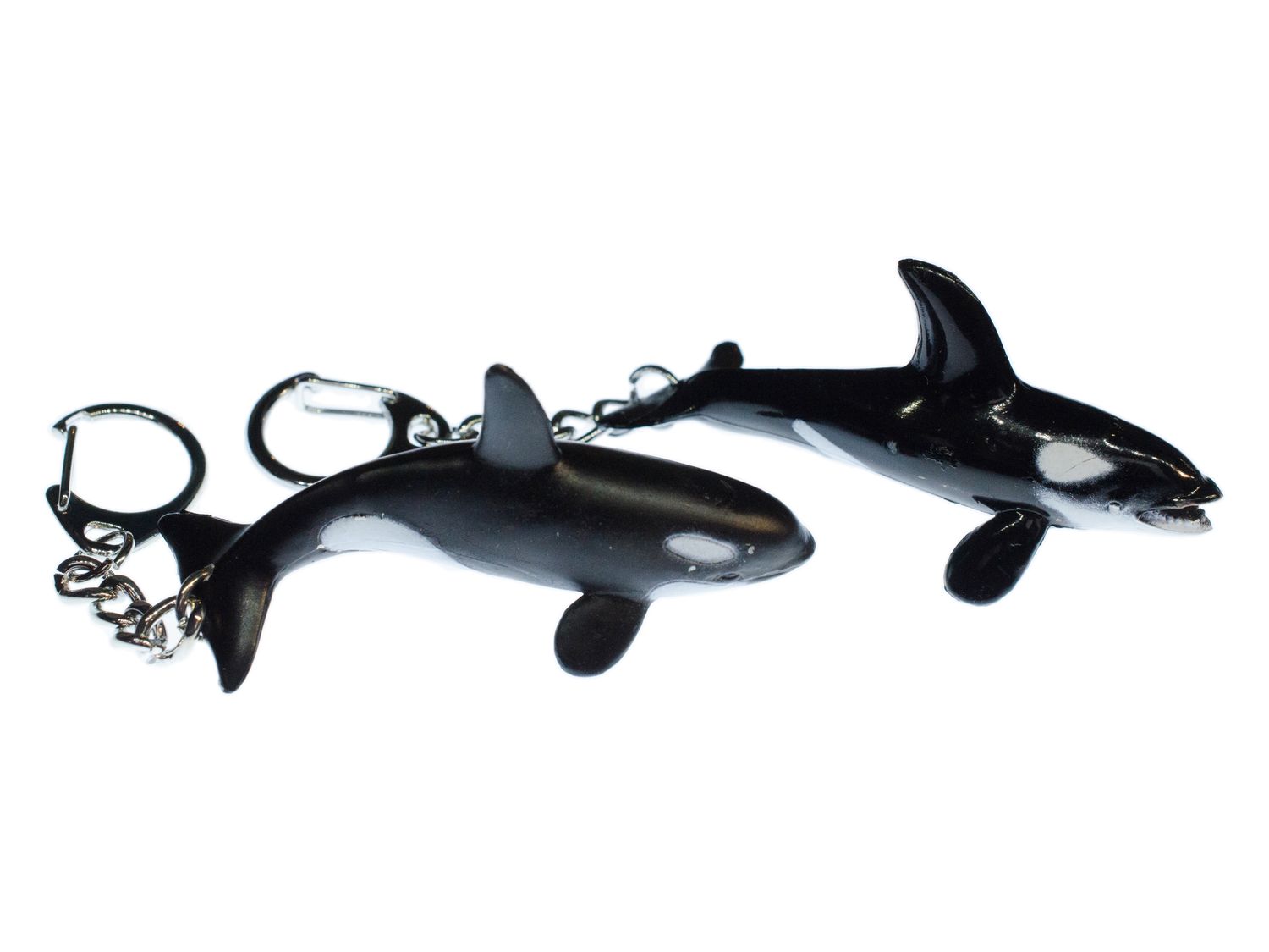 Detail Killer Whale Keychain Nomer 50
