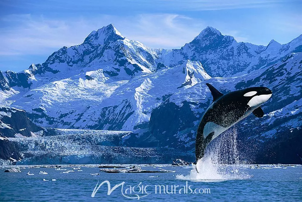 Detail Killer Whale Mouse Cursor Nomer 43