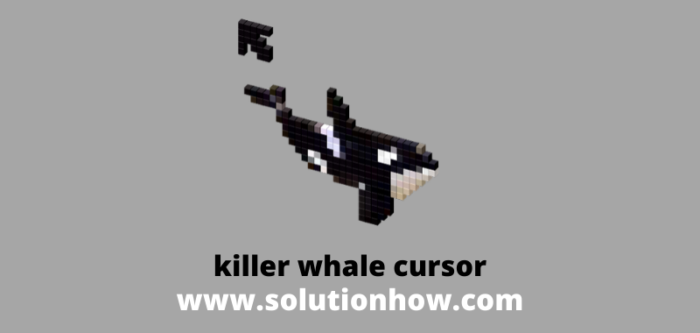 Detail Killer Whale Mouse Follower Nomer 10