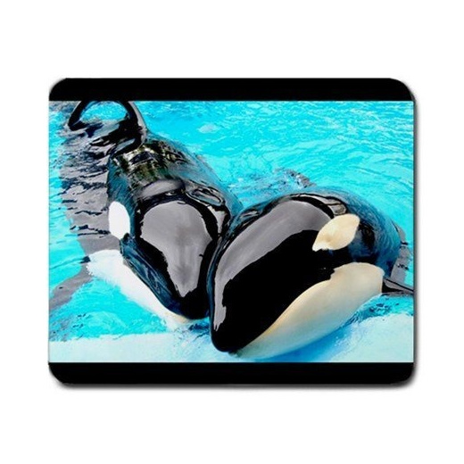 Detail Killer Whale Mouse Game Nomer 22