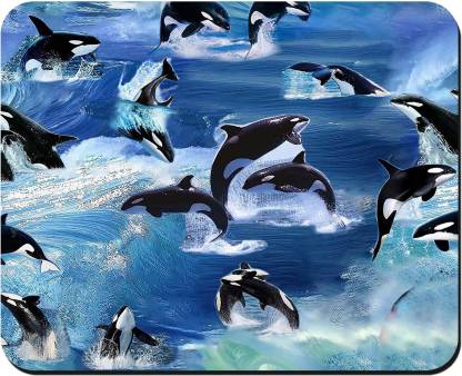 Detail Killer Whale Mouse Game Nomer 56