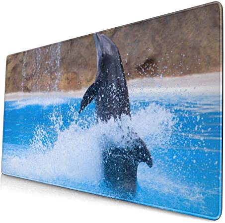 Detail Killer Whale Mouse Game Nomer 57
