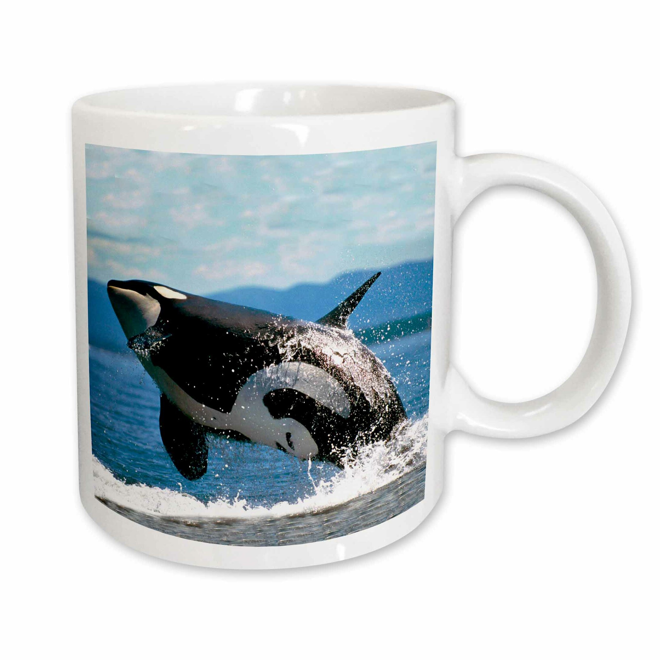 Detail Killer Whale Mug Nomer 42
