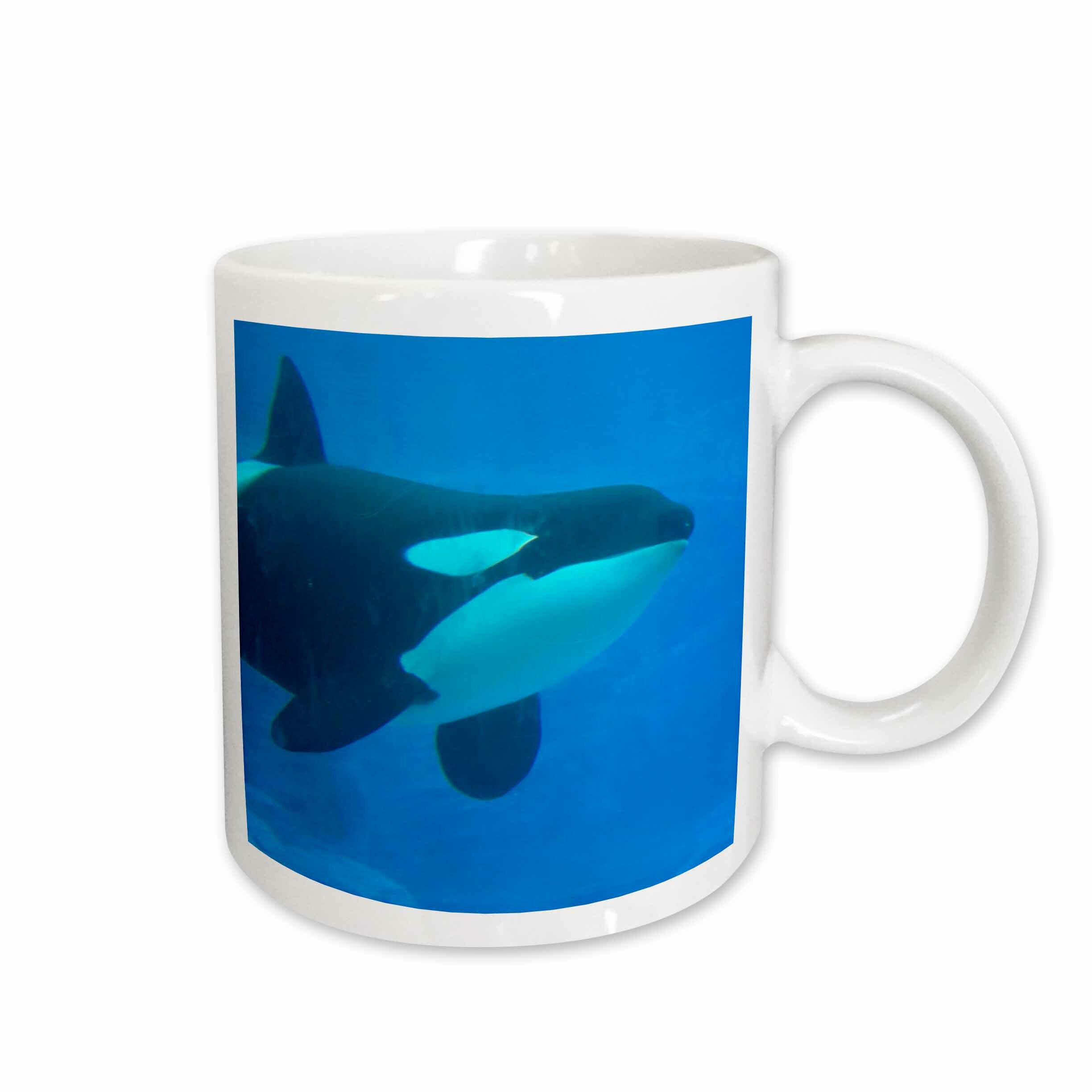 Detail Killer Whale Mug Nomer 45