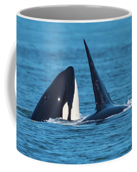 Detail Killer Whale Mug Nomer 53