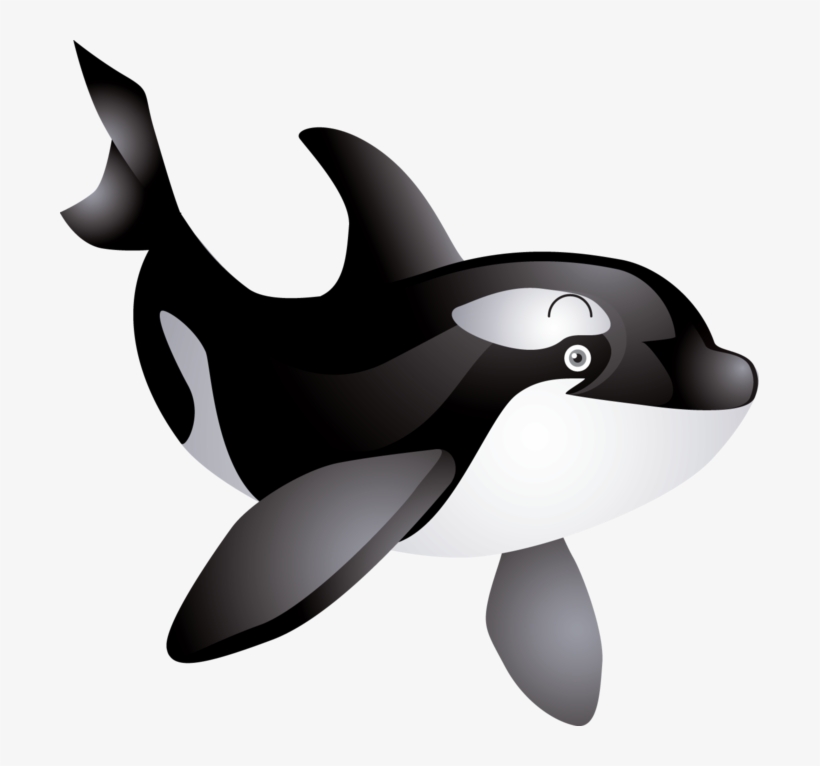 Detail Killer Whale Png Nomer 17