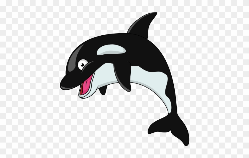 Detail Killer Whale Png Nomer 29