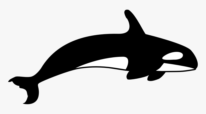 Detail Killer Whale Png Nomer 41