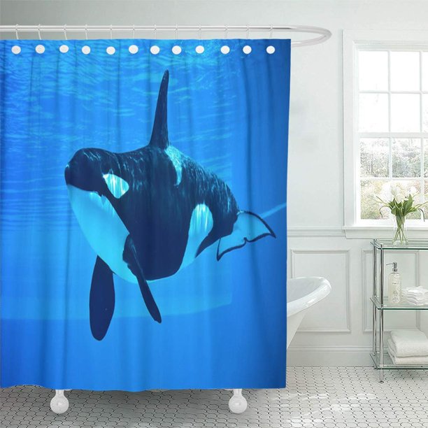 Detail Killer Whale Shower Curtain Nomer 2