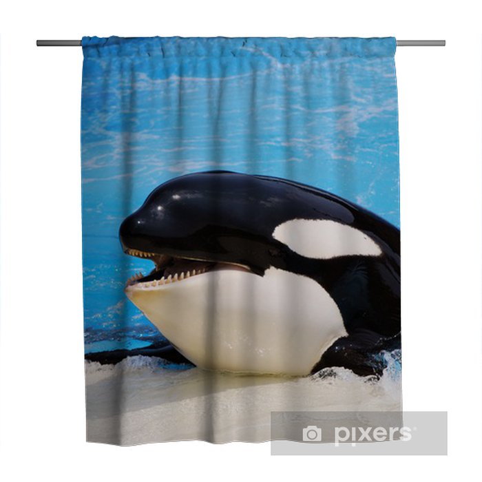 Detail Killer Whale Shower Curtain Nomer 15