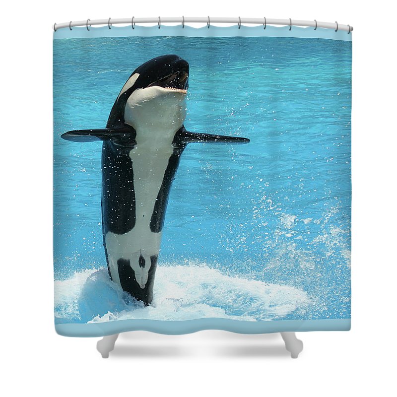 Detail Killer Whale Shower Curtain Nomer 19