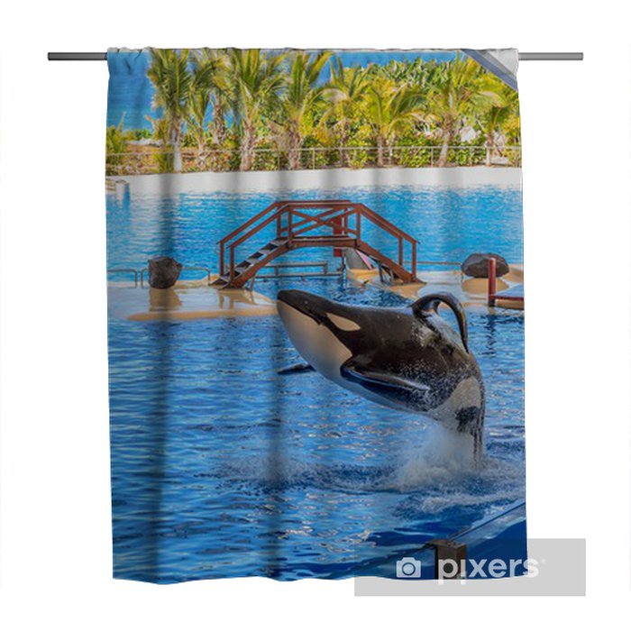 Detail Killer Whale Shower Curtain Nomer 3