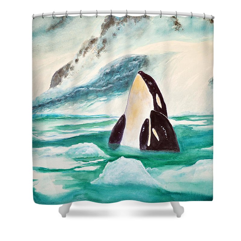 Detail Killer Whale Shower Curtain Nomer 24