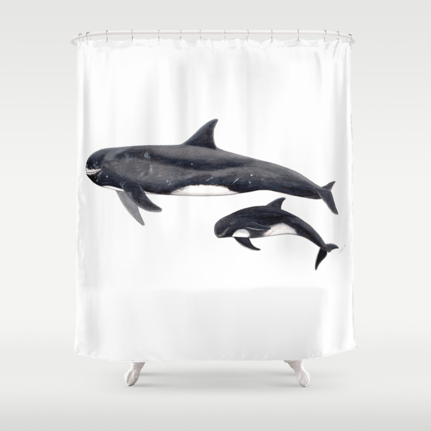 Detail Killer Whale Shower Curtain Nomer 27