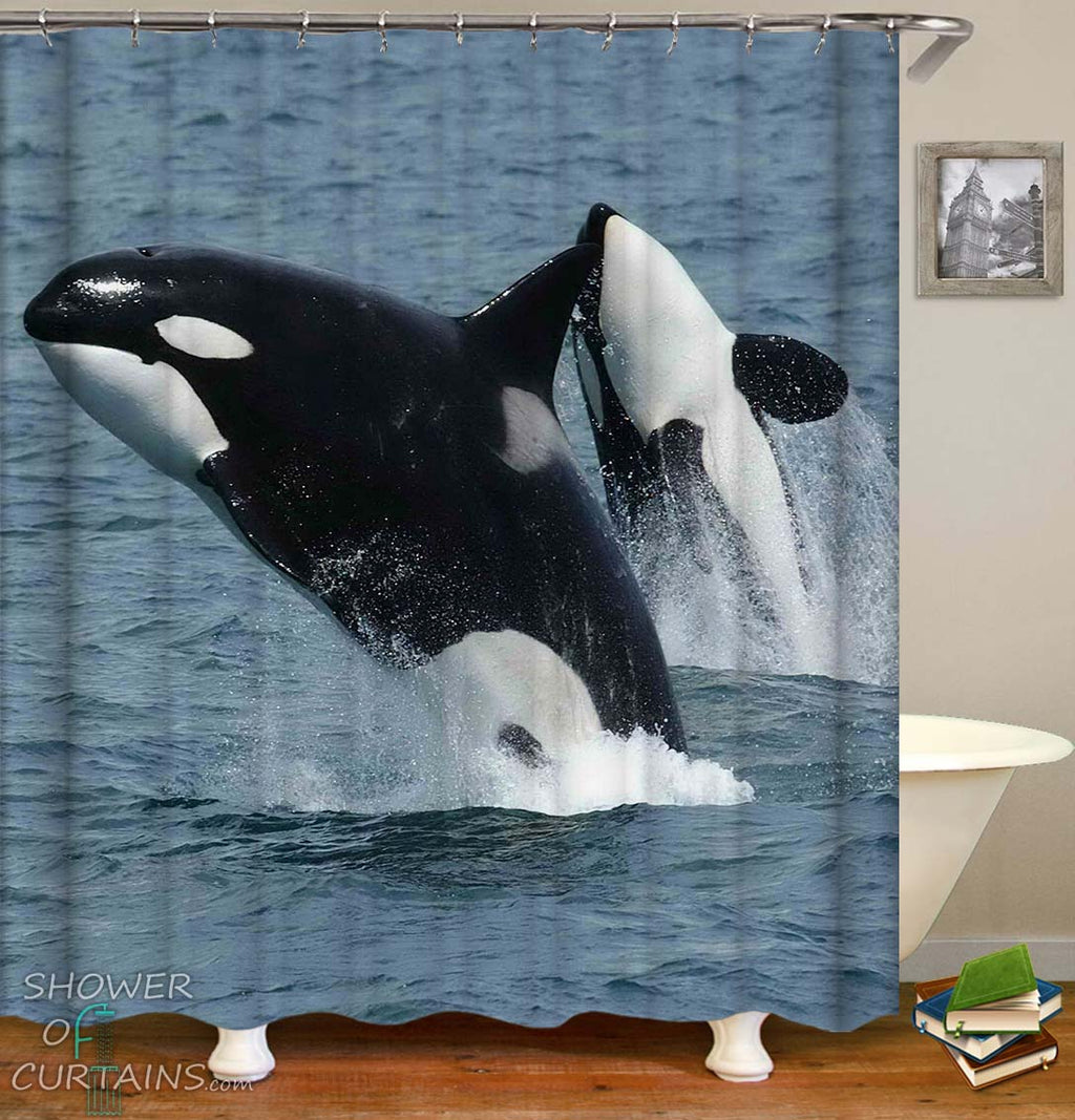 Detail Killer Whale Shower Curtain Nomer 4