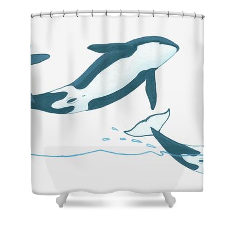 Detail Killer Whale Shower Curtain Nomer 49