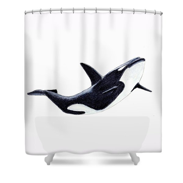 Detail Killer Whale Shower Curtain Nomer 57