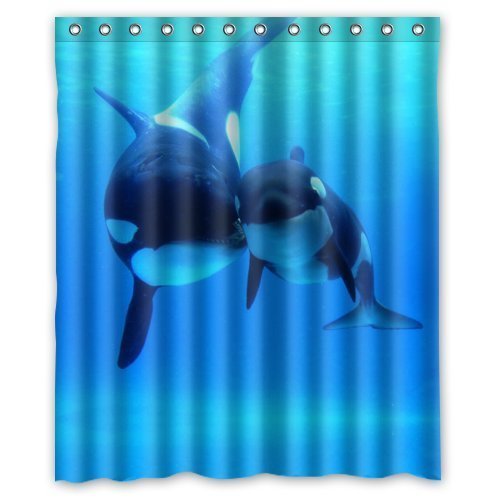 Download Killer Whale Shower Curtain Nomer 10