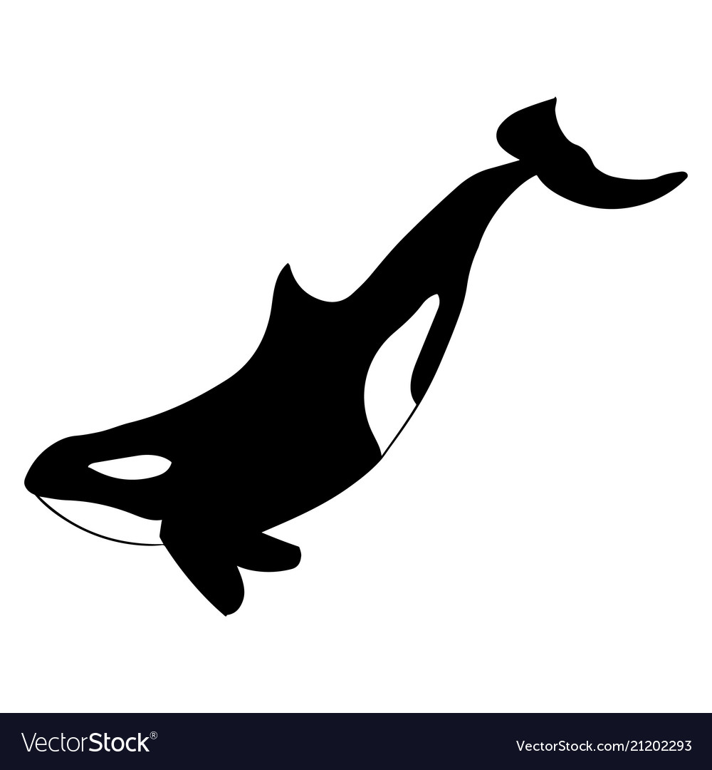 Killer Whale Silhouettes - KibrisPDR