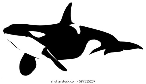 Detail Killer Whale Silhouettes Nomer 14