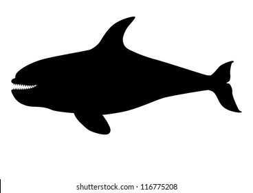 Detail Killer Whale Silhouettes Nomer 15