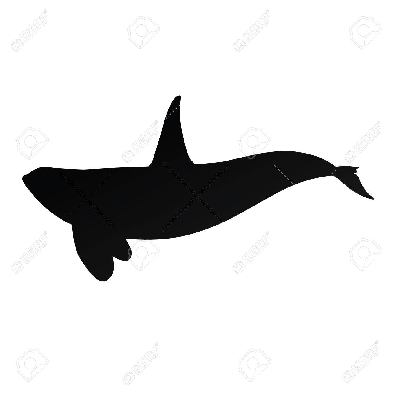 Detail Killer Whale Silhouettes Nomer 18