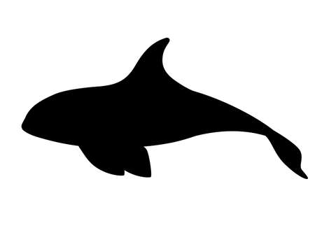 Detail Killer Whale Silhouettes Nomer 19